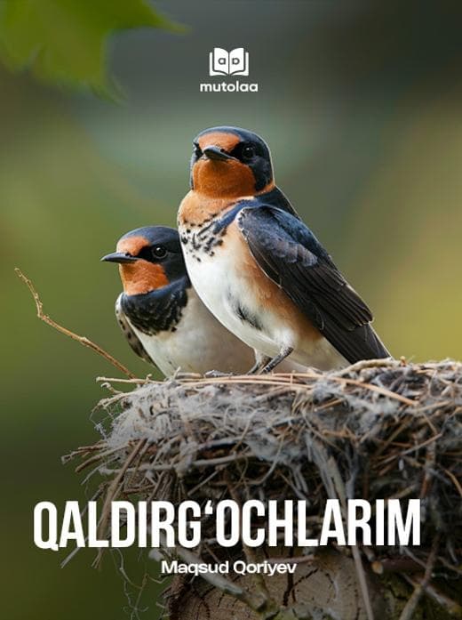 Muqova: Qaldirgʻochlarim