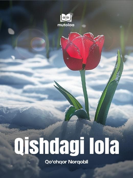 Muqova: Qishdagi lola