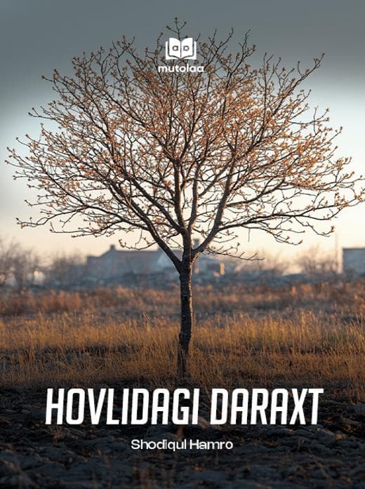 Muqova: Hovlidagi daraxt