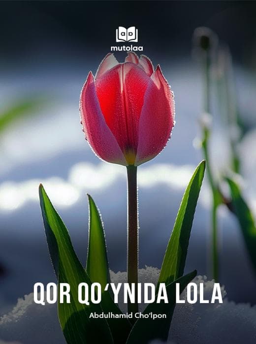 Muqova: Qor qoʻynida lola