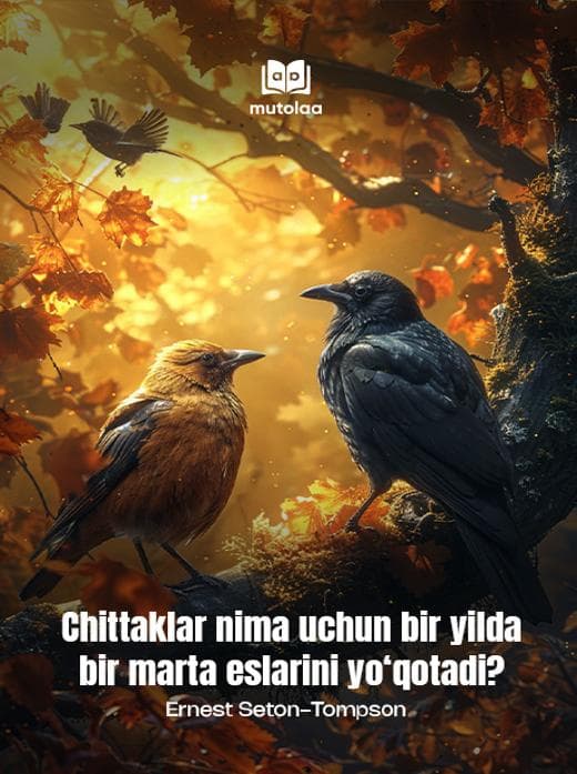 Muqova: Chittaklar nima uchun bir yilda bir marta eslarini yoʻqotadi?