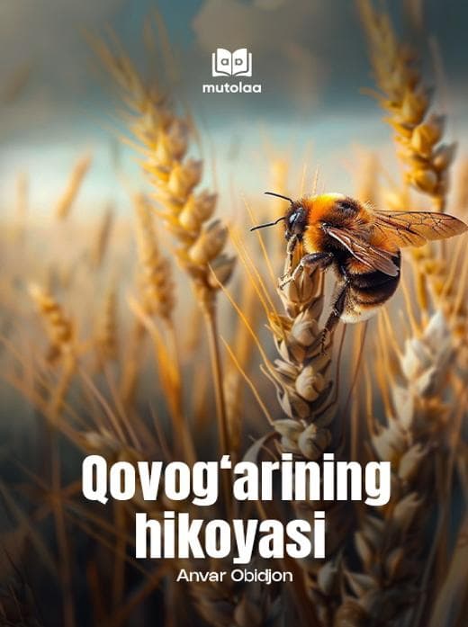 Muqova: Qovogʻarining hikoyasi