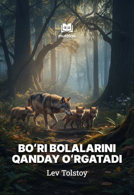 Muqova: Boʻri bolalarini qanday oʻrgatadi?